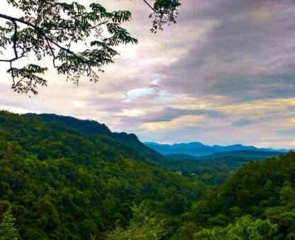 Dehradun