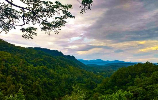 Dehradun